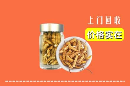 收购资讯:台州市回收散虫草
