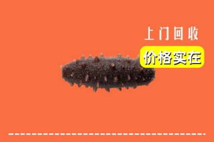 收购资讯:台州市回收海参