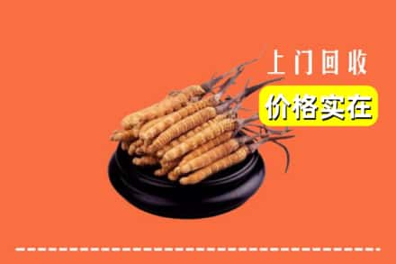 台州市回收冬虫夏草