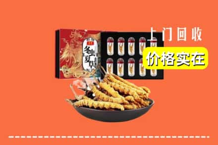 台州市回收虫草